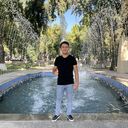 ���������� �����-���������, ���� ������� Viburnum, 33 ����, ������������ ��� ������, ����� � ���������