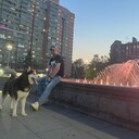 ���������� �����-���������, ���� ������� Veps, 37 ���, ������������ ��� ������, ����� � ���������, c�������� ���������, ���������