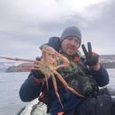  -,   , 36 ,   ,   , c , 