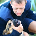 ���������� ��������, ���� ������� �������, 43 ����, ������������ ��� ������, ����� � ���������, c�������� ���������