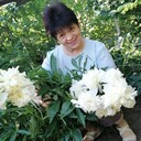  ,   , 64 ,   c 