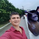 ���������� ������, ���� ������� ����, 31 ���, ������������ ��� ����� � ���������, c�������� ���������