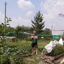 ���������� ������, ���� ������� �������, 38 ���, ������������ ��� ����� � ���������, c�������� ���������