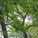 ���������� ���������, ���� ������� �����, 27 ���, ������������ ��� ������, ����� � ���������