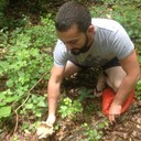 ���������� ���������, ���� ������� �����, 42 ����, ������������ ��� ������, ����� � ���������, c�������� ���������