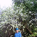  ,   , 59 ,   ,   , c 