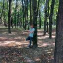  ,   , 38 ,   ,   , c , 