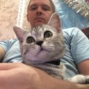 ���������� ���������, ���� ������� ����������, 40 ���, ������������ ��� ������, ����� � ���������, c�������� ���������