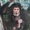  ,   , 43 ,   ,   , c 