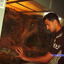  ,   Misha, 38 ,   ,   , c 