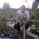  ,   , 43 ,   
