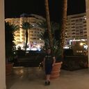 ���������� ������, ���� ������� �����, 41 ���, ������������ ��� ������, ����� � ���������