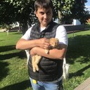 ���������� ������, ���� ������� ���, 38 ���, ������������ ��� ������, ����� � ���������, ���������