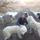 ���������� �������, ���� ������� ����, 44 ����, ������������ ��� ������, ����� � ���������