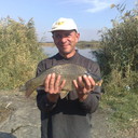  ,   , 58 ,  