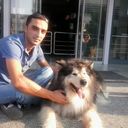 ���������� �������, ���� ������� Lego, 38 ���, ������������ ��� ������