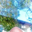 ���������� ���������, ���� ������� �������, 53 ����, ������������ ��� ����� � ���������, c�������� ���������