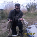  -,   , 55 ,   