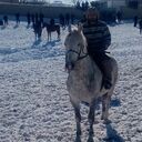  ,   , 33 ,   ,   , c , 