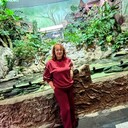 ���������� �����, ���� ������� �������, 52 ����, ������������ ��� ������, ����� � ���������, c�������� ���������