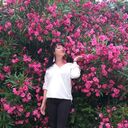  ,   , 53 ,   