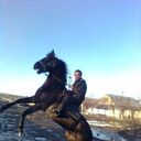 ���������� ��������, ���� ������� ������, 42 ����, ������������ ��� ������, ����� � ���������, c�������� ���������, ���������