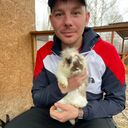 ���������� ����������, ���� ������� Alexander, 38 ���, ������������ ��� ������, ����� � ���������