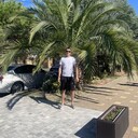 ���������� ������, ���� ������� �����, 36 ���, ������������ ��� ������, ����� � ���������, c�������� ���������