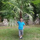  ,   , 70 ,   ,   