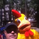  ,   , 44 ,   
