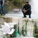  ,   Sargis, 41 ,   ,   