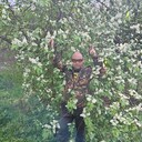 ���������� ����, ���� ������� ����, 51 ���, ������������ ��� ������, ���������