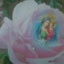  ,   Giorgi, 45 ,   