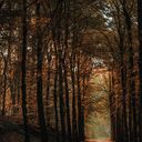 ���������� ������, ���� ������� Asl er, 40 ���, ������������ ��� ������, ����� � ���������