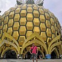  ,   , 33 ,     , c , 