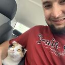  -,   , 28 ,   ,   , c , 