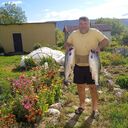  -,   Albertkoltov, 55 ,     , c 