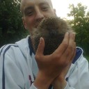 ���������� ��������, ���� ������� �������, 38 ���, ������������ ��� ������, ����� � ���������, c�������� ���������