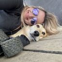 ���������� ������, ���� ������� ����, 33 ����, ������������ ��� ������, ����� � ���������, c�������� ���������, ���������