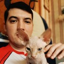 ���������� ������, ���� ������� �����, 41 ���, ������������ ��� ������, ����� � ���������, c�������� ���������