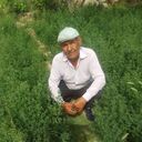 ���������� �������, ���� ������� ��������, 68 ���, ������������ ��� ������, ����� � ���������, c�������� ���������