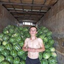 ���������� ����, ���� ������� ��������, 28 ���, ������������ ��� ������, ����� � ���������, c�������� ���������