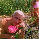  ,   , 66 ,   ,   , c , 