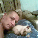 ���������� ������, ���� ������� ����, 43 ����, ������������ ��� ������, ����� � ���������, c�������� ���������