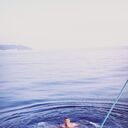 ���������� ���������, ���� ������� Baha, 40 ���, ������������ ��� ������, ����� � ���������