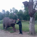 ���������� �������, ���� ������� Behruz, 38 ���, ������������ ��� ����� � ���������, c�������� ���������, ���������