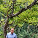 ���������� �����-���������, ���� ������� ������, 39 ���, ������������ ��� ������, ����� � ���������, c�������� ���������