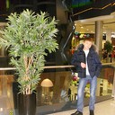 ���������� ��������, ���� ������� �������, 35 ���, ������������ ��� ������, ����� � ���������, c�������� ���������