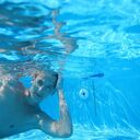 ���������� ������, ���� ������� �����, 29 ���, ������������ ��� ������, ����� � ���������