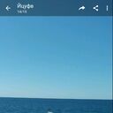 ���������� ���������, ���� ������� �����, 53 ����, ������������ ��� ������, ����� � ���������